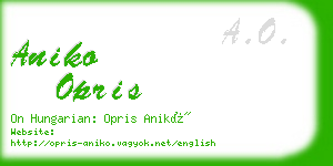 aniko opris business card